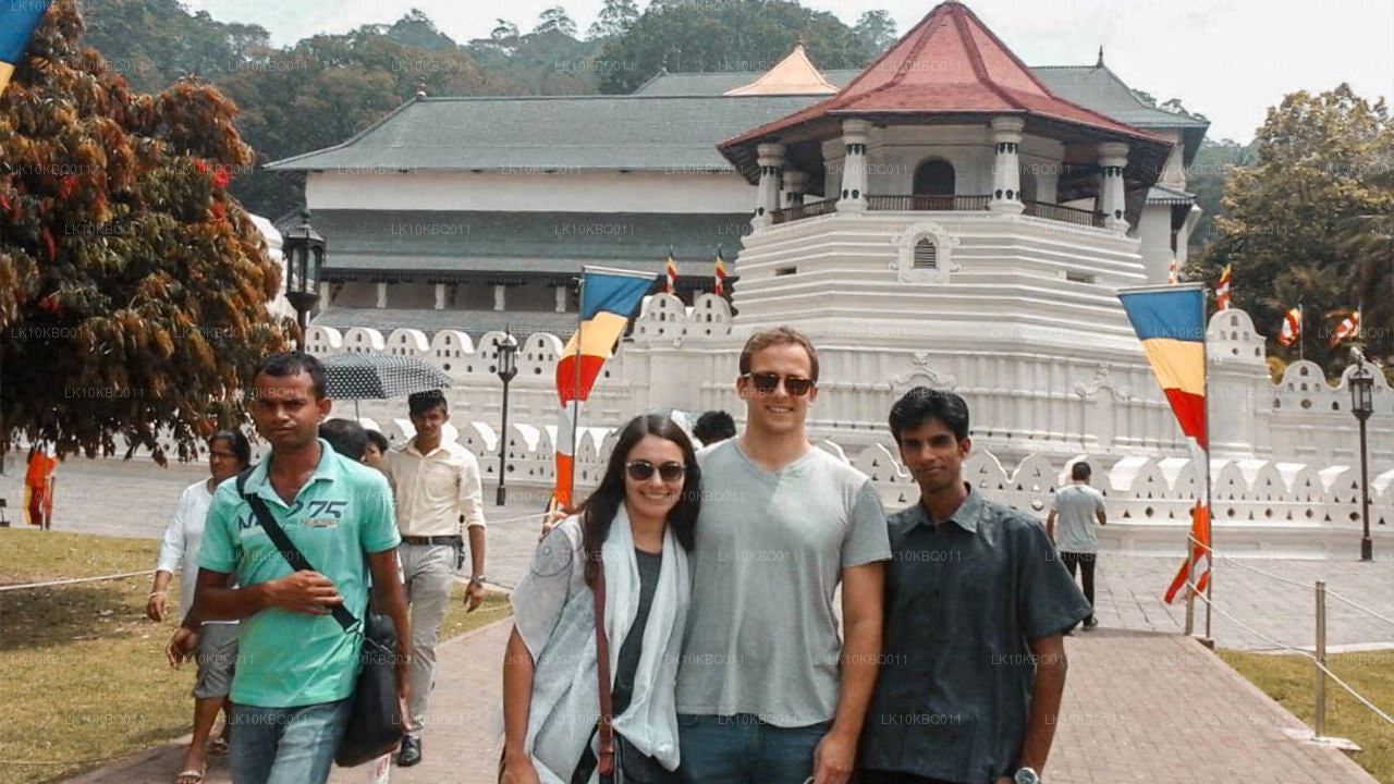 Klasik Sri Lanka (20 Gün)