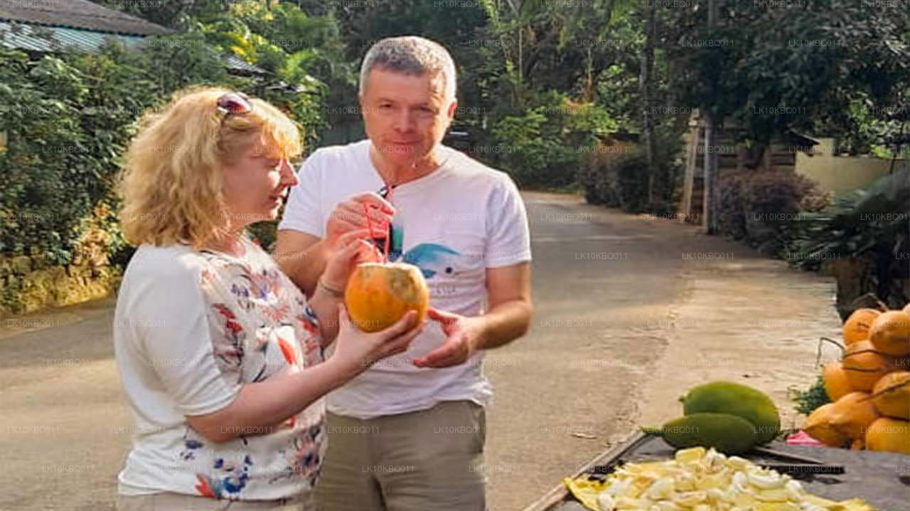 Klasik Sri Lanka (20 Gün)