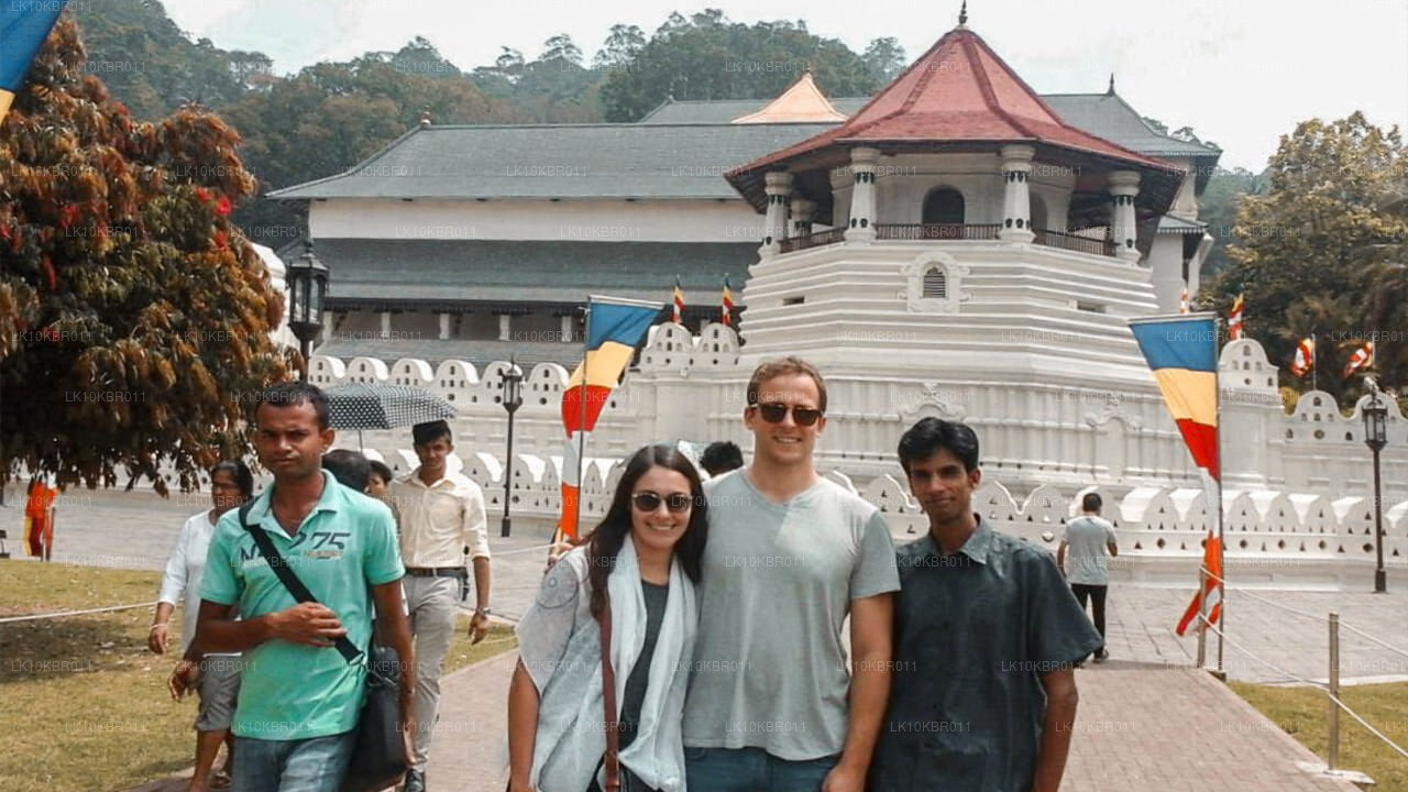Sri Lanka'nın Renkleri (20 Gün)