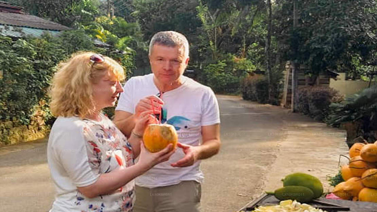 Sri Lanka'nın Renkleri (20 Gün)