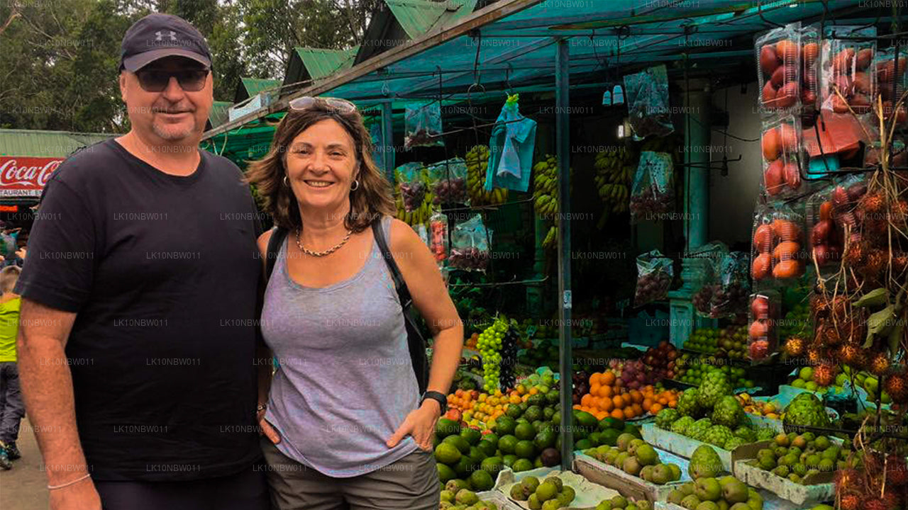 Tapınaklar ve Doğa (23 Gün)