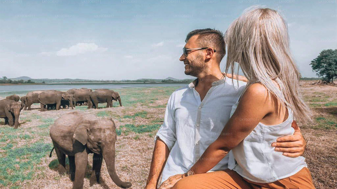 İnanılmaz Sri Lanka (24 Gün)