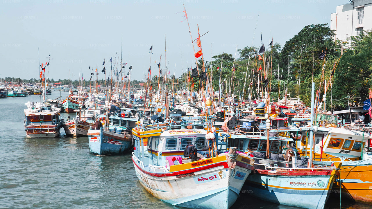 İnanılmaz Sri Lanka (25 Gün)