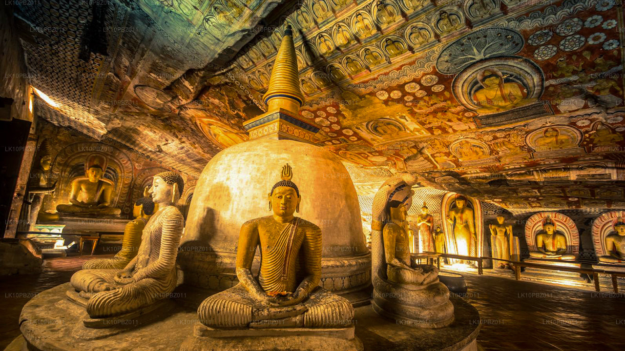 İnanılmaz Sri Lanka (25 Gün)