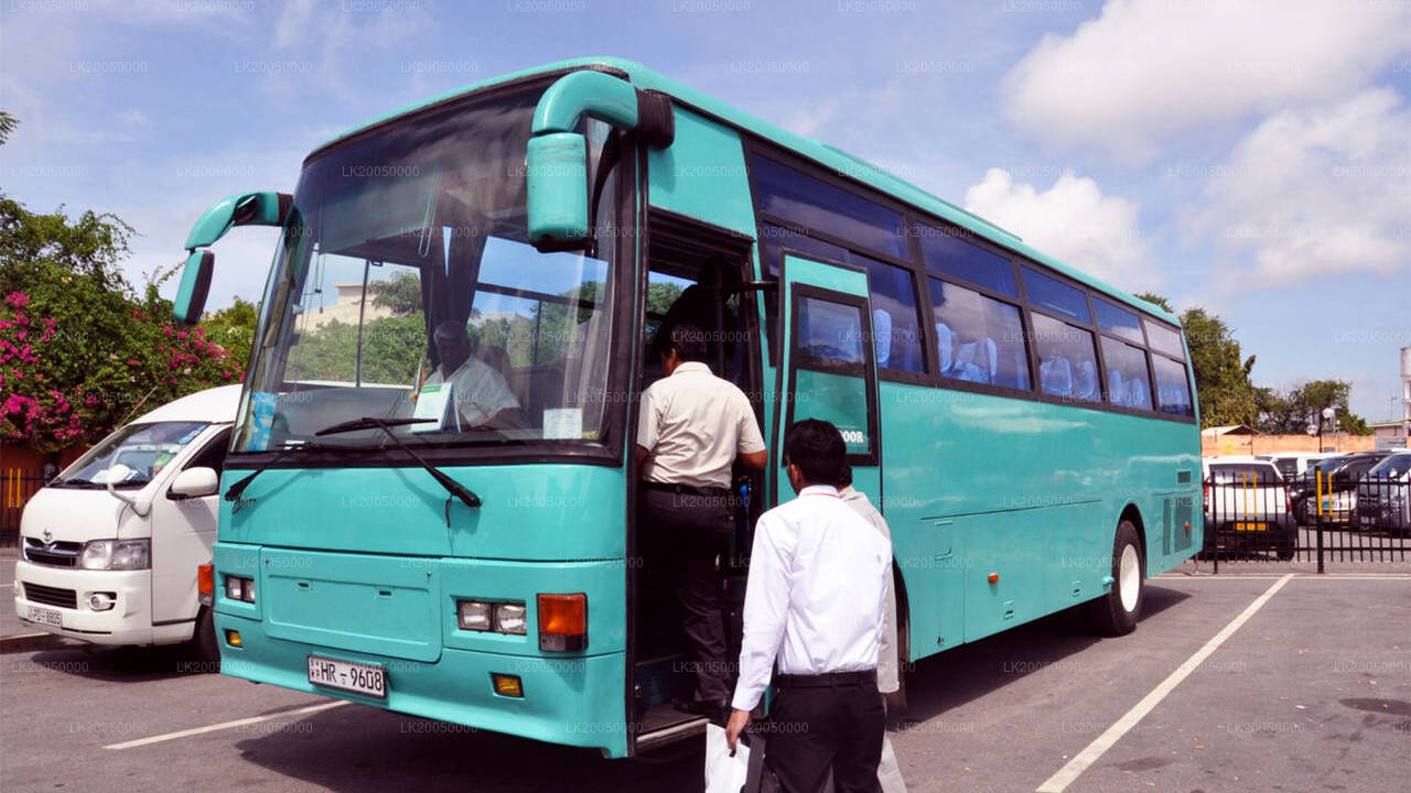 Chauffeur Driven Large Bus Rental