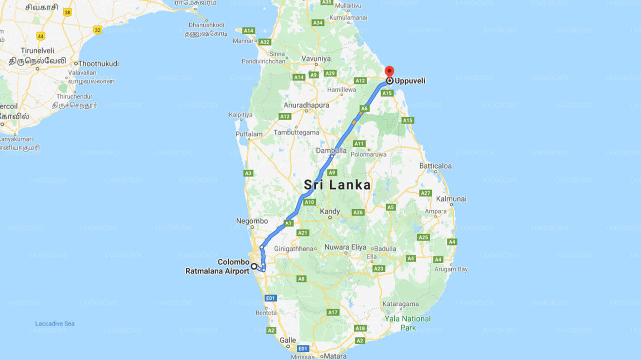 Ratmalana (RML) Airport to Uppuveli City Private Transfer