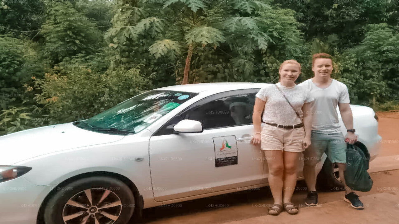 Elephant Pass City - Anuradhapura City Özel Transfer