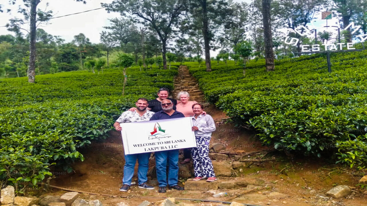 Transfer between Colombo Airport (CMB) and Stamford Star Hotel, Nuwara Eliya