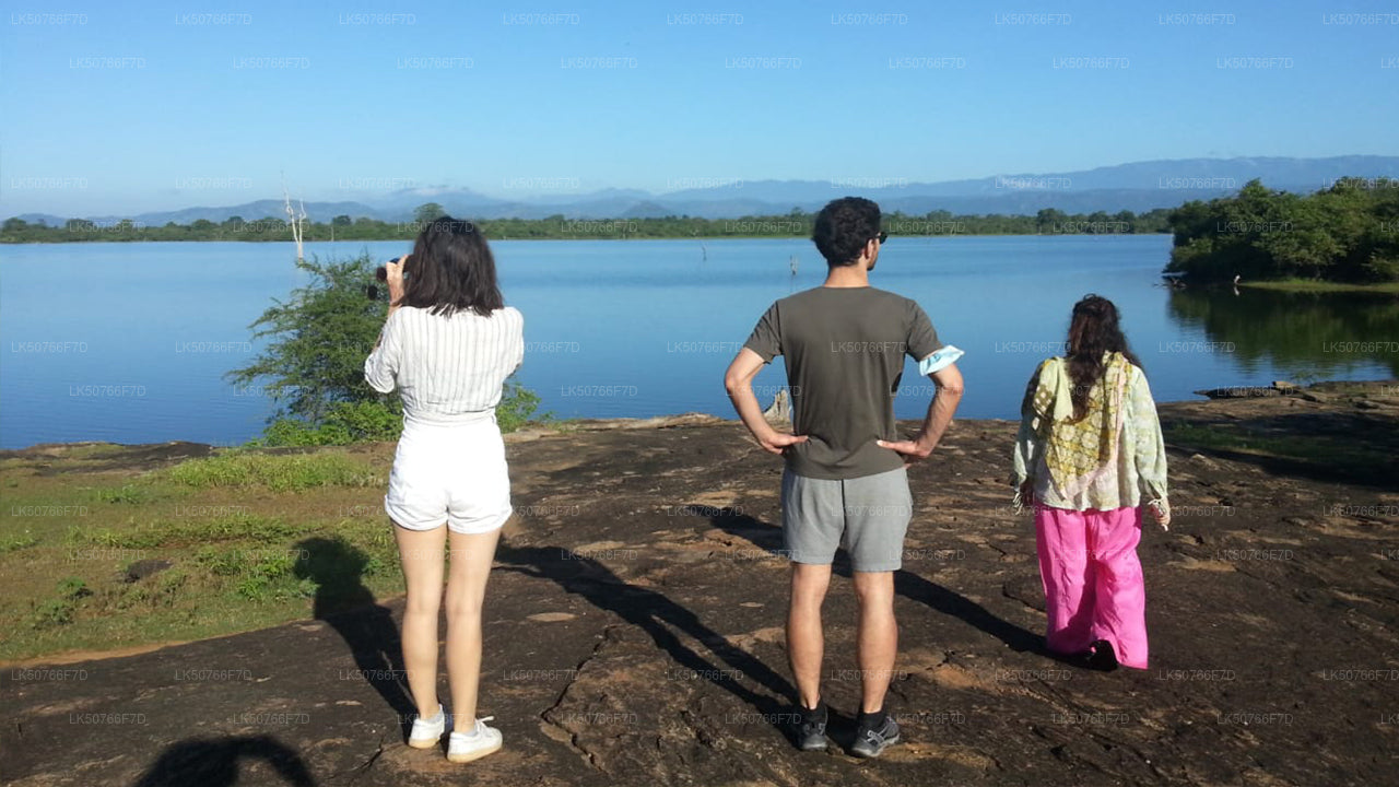 Udawalawe Milli Parkı Naturalist ile Özel Safari
