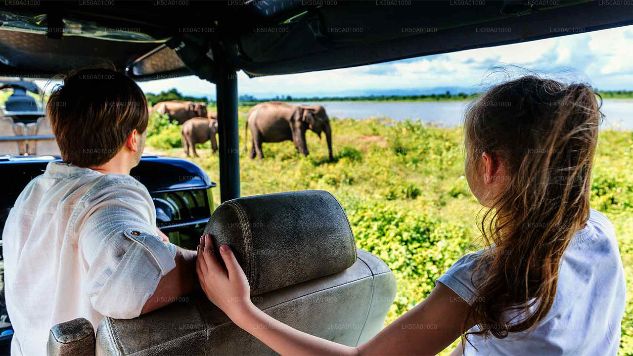 Udawalawe Milli Parkı Özel Safari