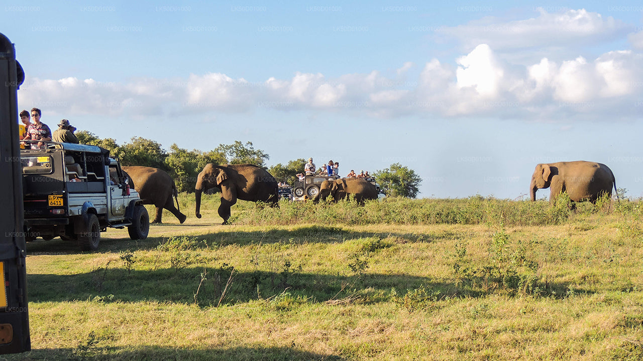 Safari jeeps with tourists observing a herd of wild elephants crossing the grasslands.