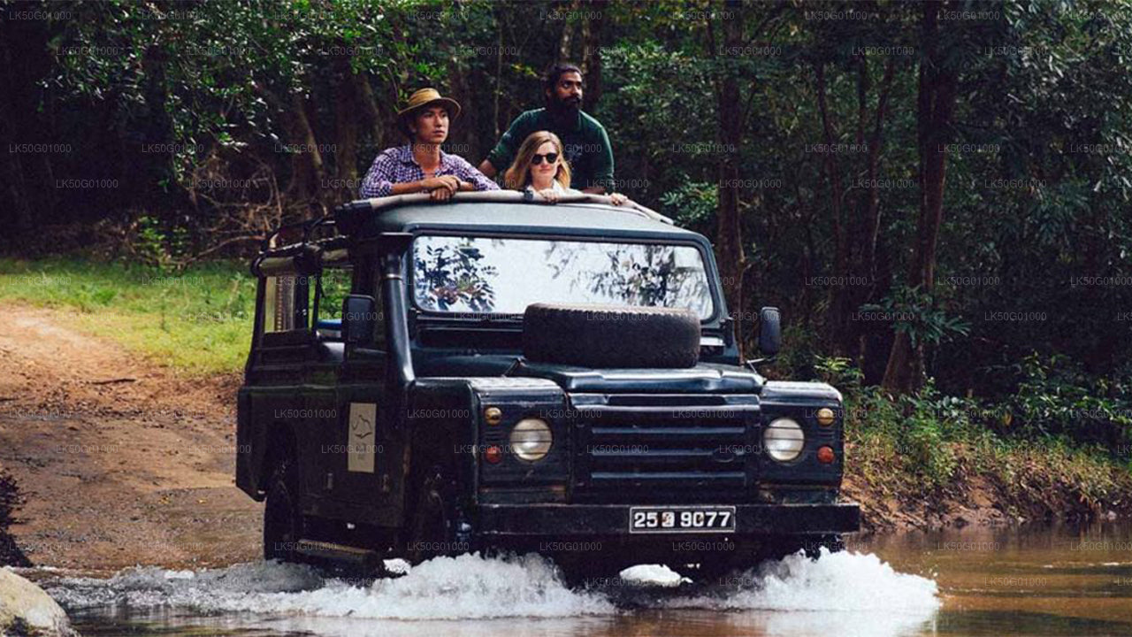 Kumana Milli Parkı Özel Safari