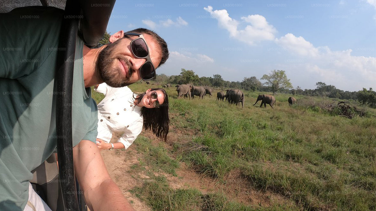 Wasgamuwa Milli Parkı Özel Safari