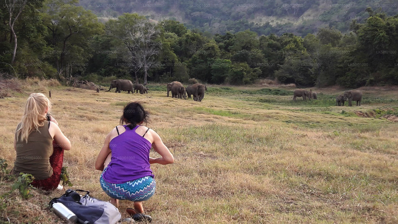 Wasgamuwa Milli Parkı Özel Safari