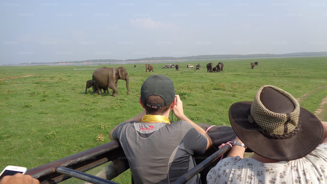Wasgamuwa Milli Parkı Özel Safari