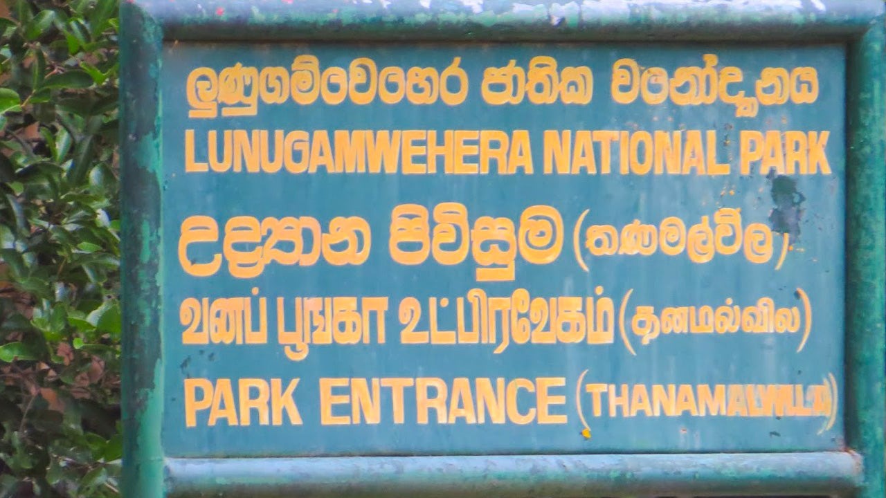 Lunugamvehera National Park Private Safari