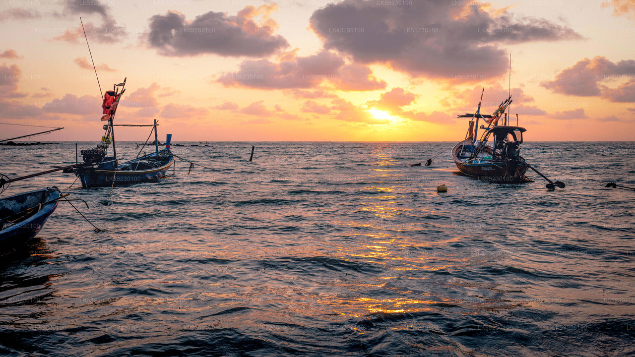Trincomalee'den Derin Deniz Balıkçı Teknesi Turu
