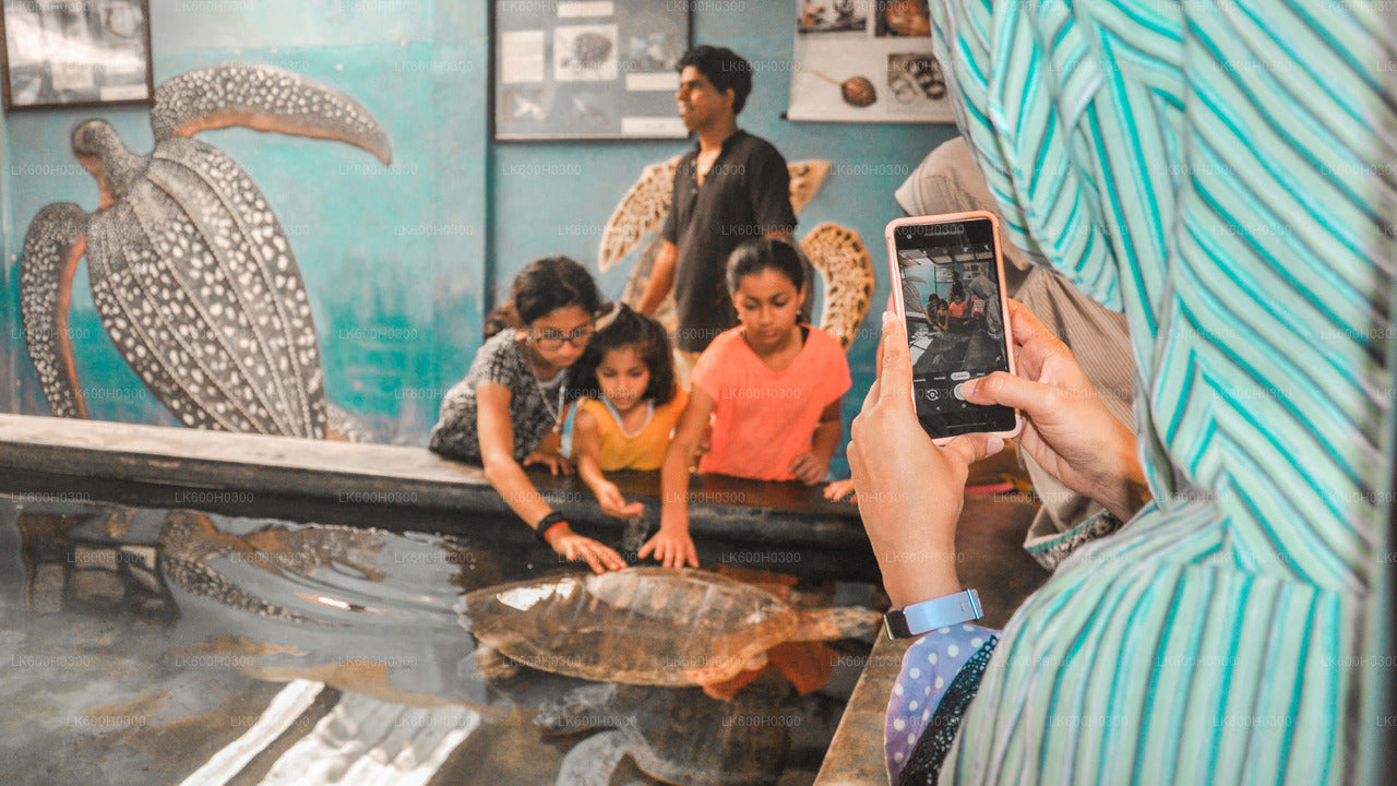 Kolombo'dan Handungoda, Galle ve Kosgoda