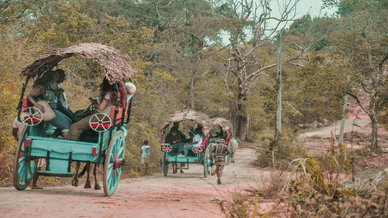 Colombo'dan Sigiriya Kaya ve Köy Turu