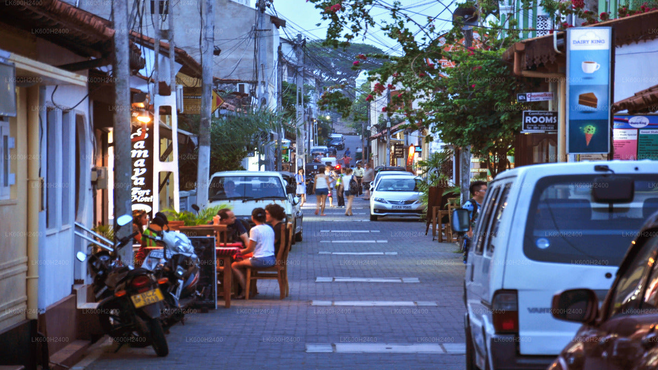 Colombo"dan Tangalle"ye Kıyı Yolculuğu