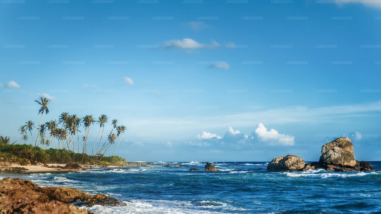 Colombo"dan Tangalle"ye Kıyı Yolculuğu