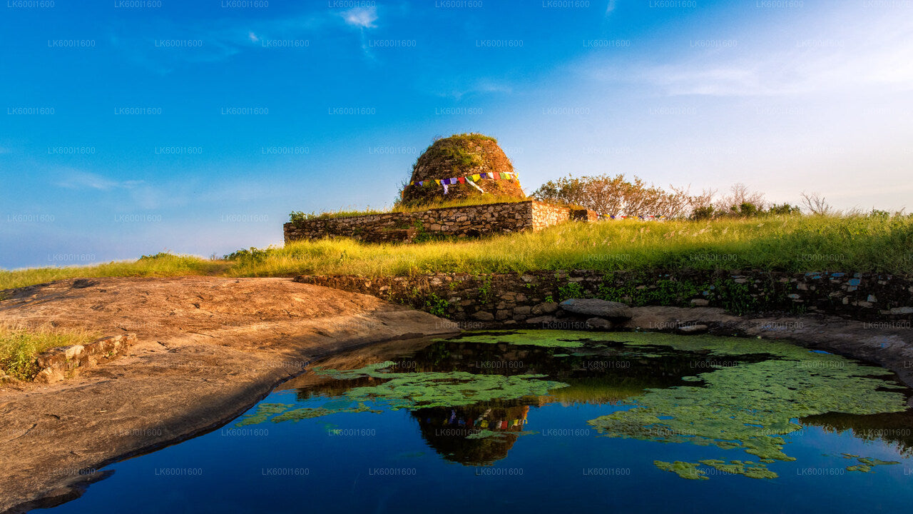 Yapahuwa Ancient Kingdom from Dambulla
