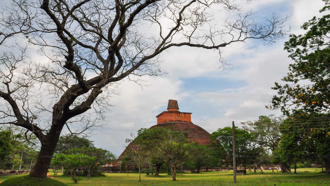 Dambulla'dan Anuradhapura Budist Simgeler Turu