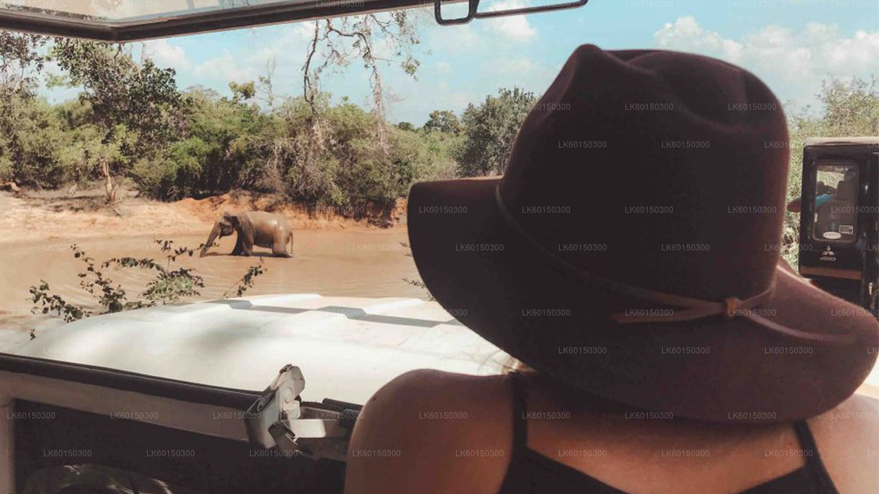 Tangalle'den Yala Milli Parkı Safari