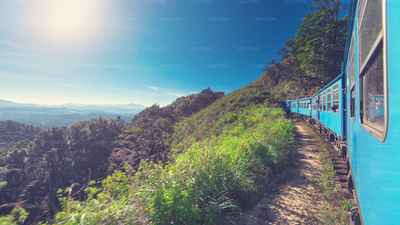 Kandy'den Ella'ya Doğal Tren Yolculuğu