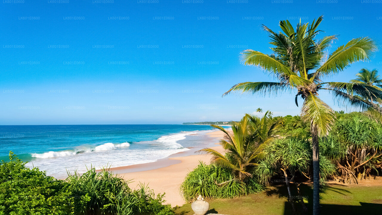Hidden Temples and Secluded Coastline from Koggala