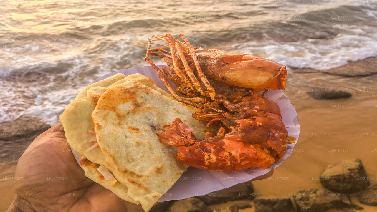 Negombo'dan Colombo Şehir Turu