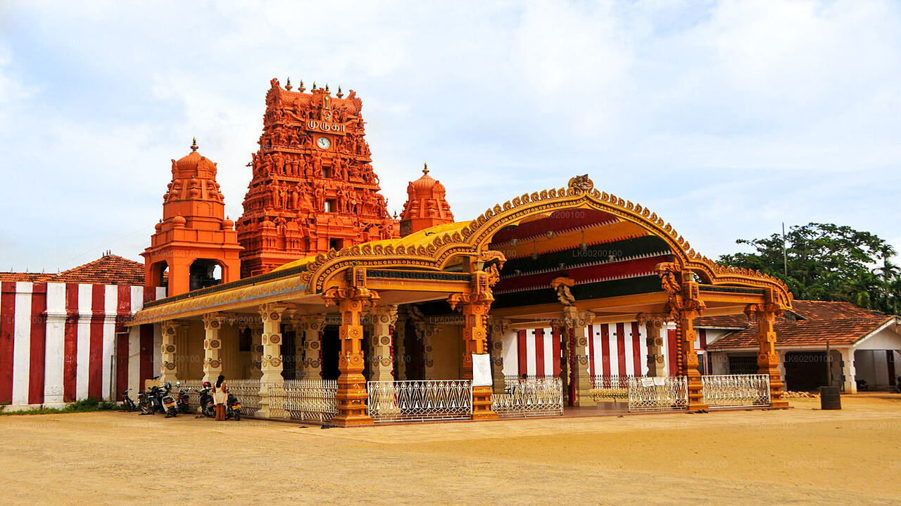 Jaffna'dan Jaffna Şehir Turu ve Nagadeepa Adası