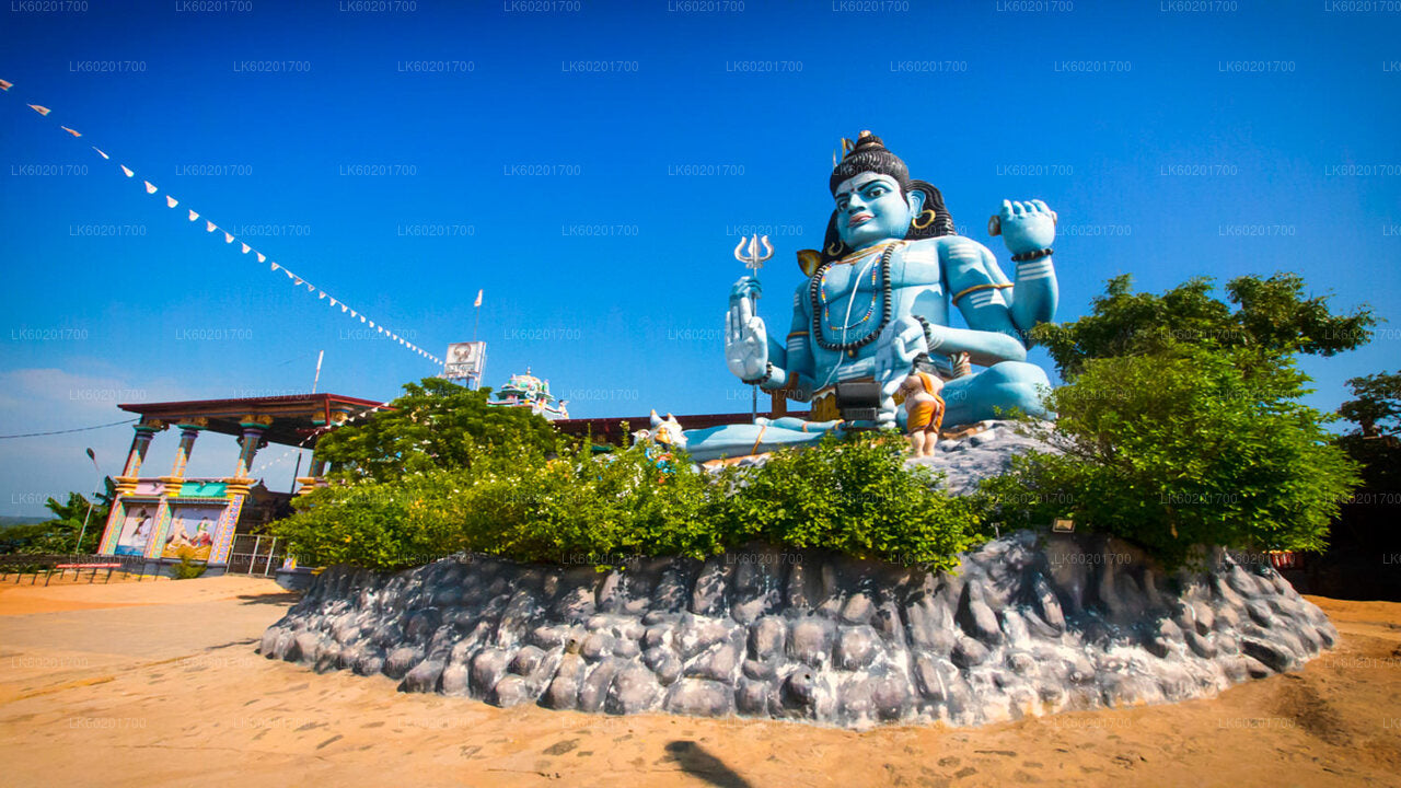 Sigiriya'dan Trincomalee Şehir Turu