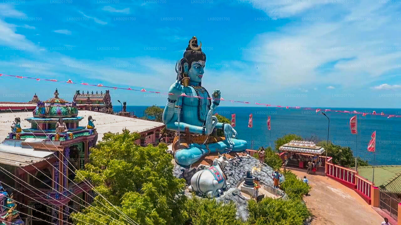 Sigiriya'dan Trincomalee Şehir Turu