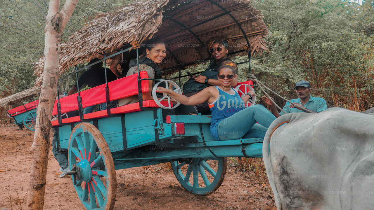 Dambulla'dan Sigiriya Kayası ve Vahşi Fil Safarisi