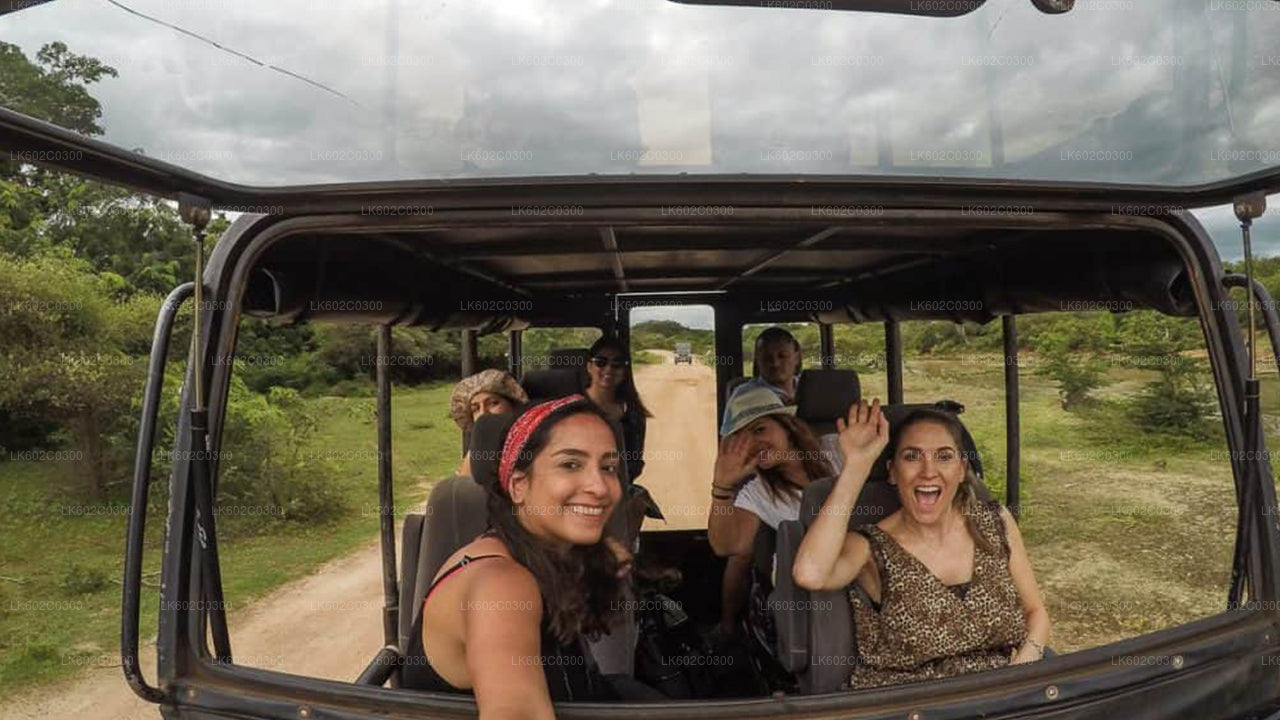 Weligama'dan Yala Milli Parkı Safari