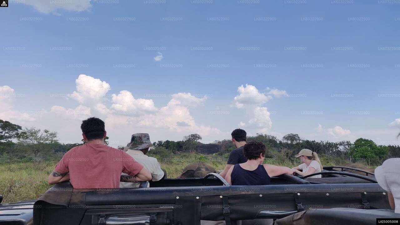 Habarana'dan Hurulu Eco Park Özel Safari
