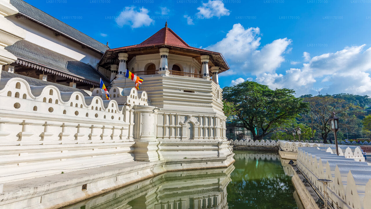 Kandy Şehir Turu