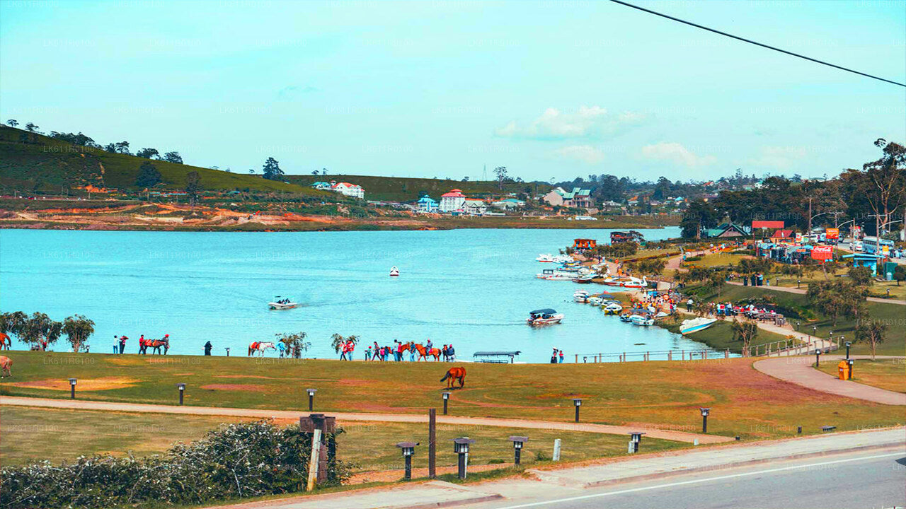 Nuwara Eliya Şehir Turu