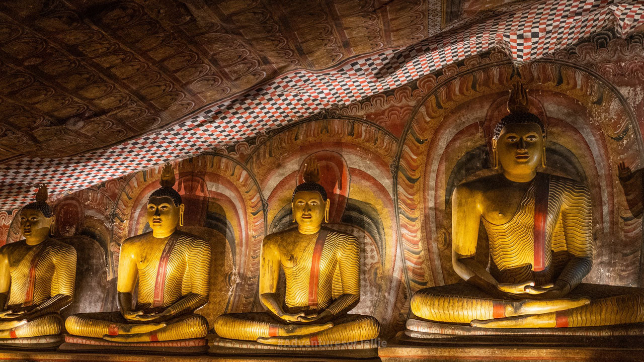Dambulla'dan Sigiriya Kayası ve Vahşi Fil Safarisi