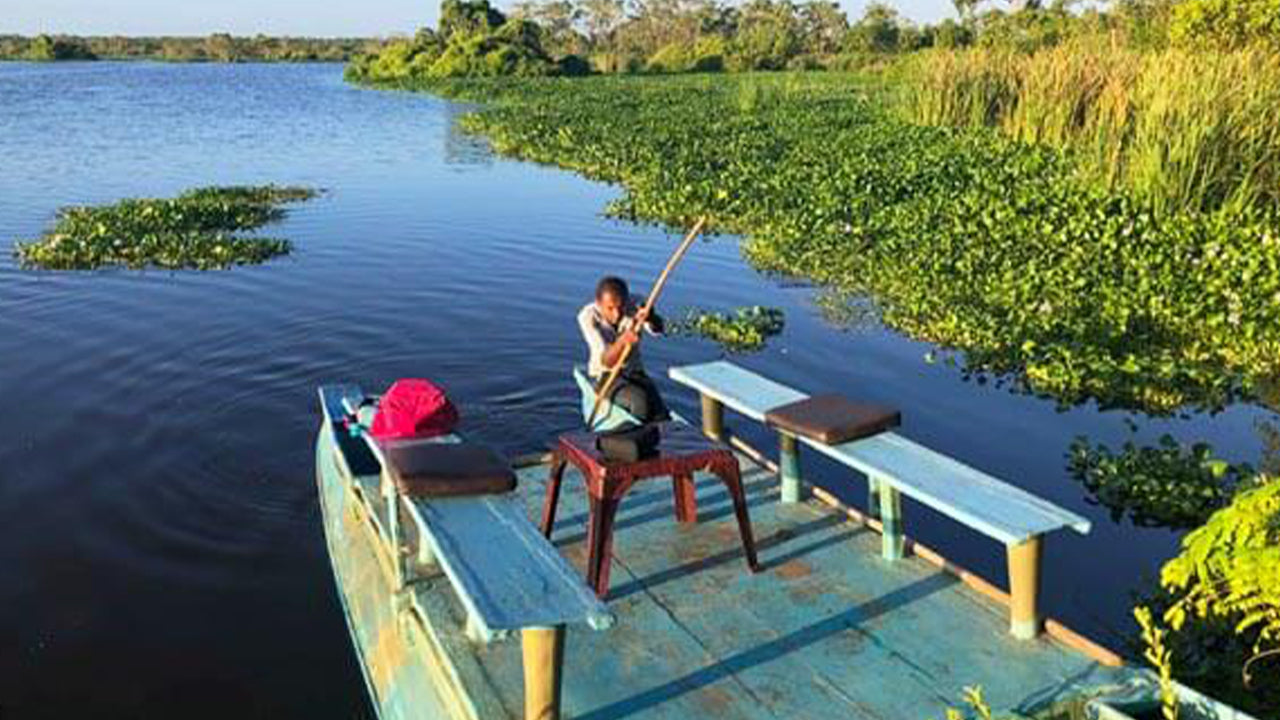 Birdwatching by Boat at Kalametiya Sanctuary from Tangalle