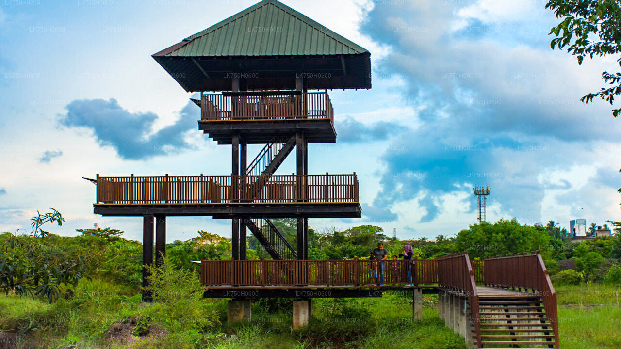 Birdwatching at Diyasaru Uyana from Colombo