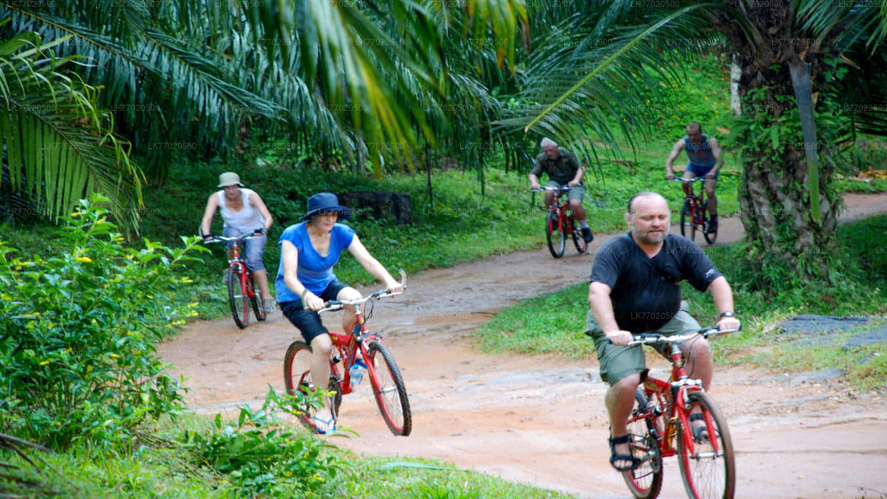 3 Kandy'den Temple Loop Bisiklet Turu