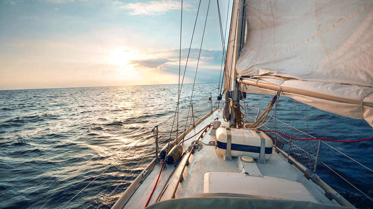 2 Night Cruise Vacation On Ceycat from Trincomalee