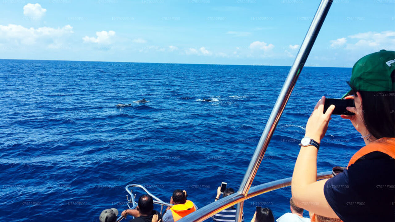 2 Night Cruise Vacation On Ceycat from Trincomalee