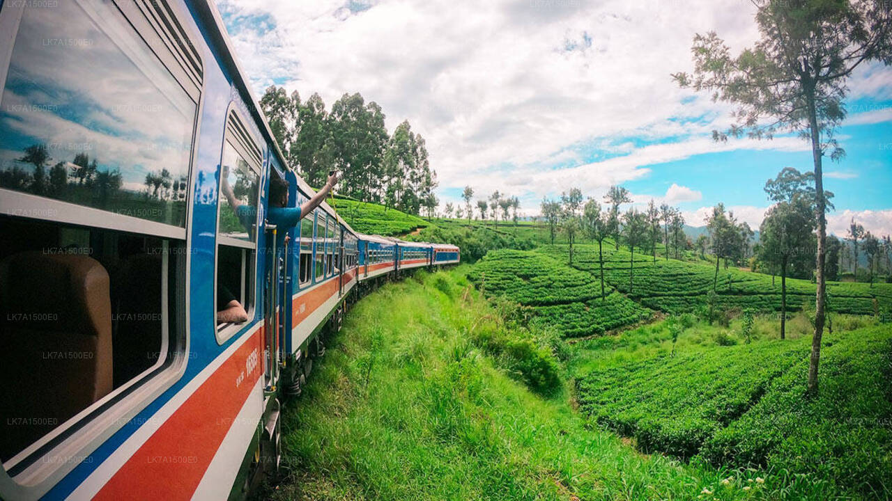 Colombo"dan Ella"ya tren yolculuğu (Tren No: 1001 “Denuwara Menike”)