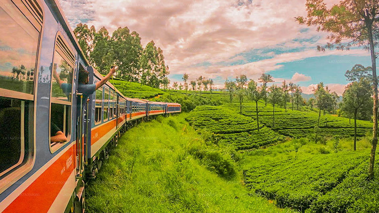 Kandy'den Ella'ya tren yolculuğu (Tren No: 1015 “Udarata Menike”)