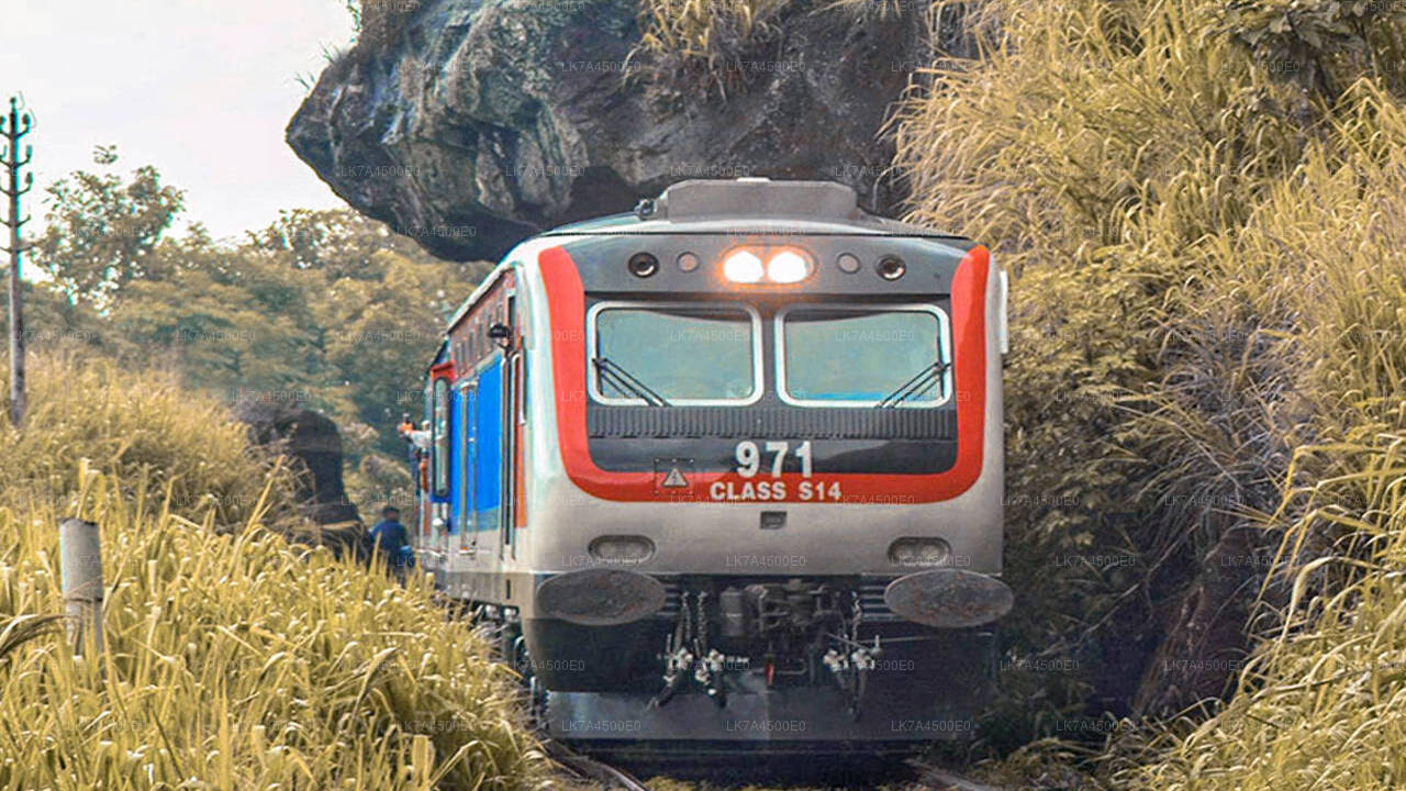 Nanu Oya to Ella train ride on (Train No: 1001 "Denuwara Menike")