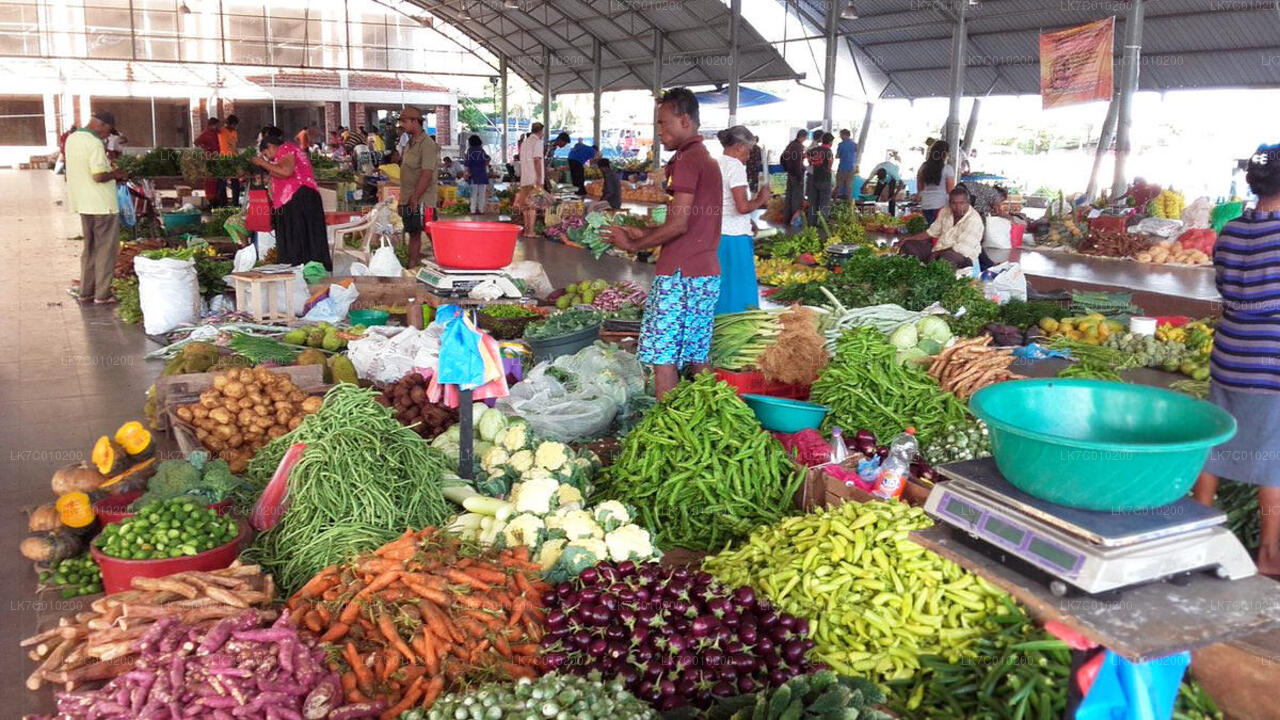 Colombo Market Tour and Cooking Experience