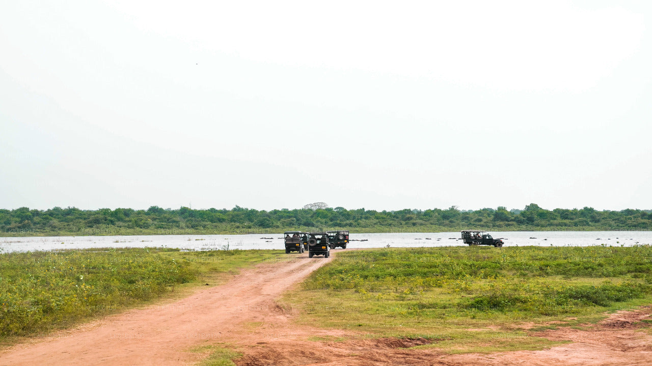 Hambantota Limanı'ndan Udawalawe Milli Parkı Safari